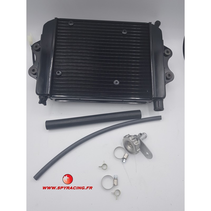 copy of SPY RACING 350 F1/F3 RADIATOR