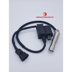 IGNITION COIL ANTIPARASITE COIL 250 F3