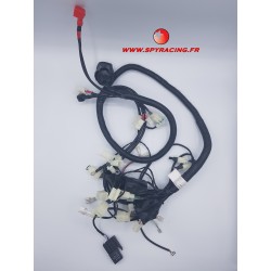 SPY RACING 350 F3 HARNESS