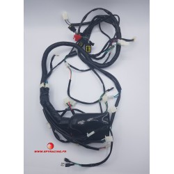 SPY RACING 350 F1 HARNESS