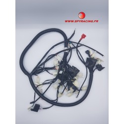 SPY RACING 250 F3 HARNESS