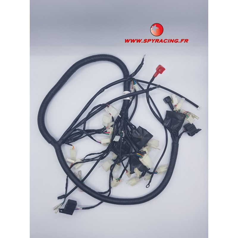 SPY RACING 250 F3 HARNESS