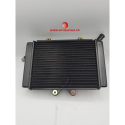 SPY RACING 250 F3 RADIATOR