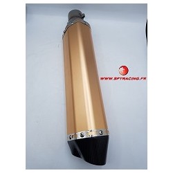 DUAL EXHAUST GOLD SPY RACING 250/350 F3