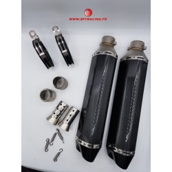 DUAL CARBON EXHAUST SPY RACING 250/350 F3