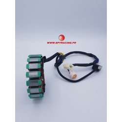 SPY RACING 350 F1 IGNITION STATOR